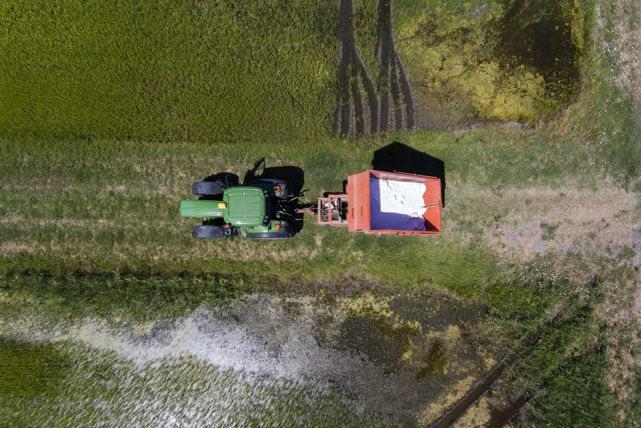 Photo industrielle aérienne par drone rizière secteur agricole
